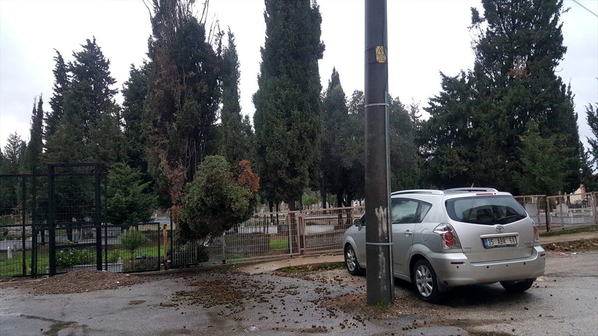 Karacabey\'de fırtına ağaçları devirdi