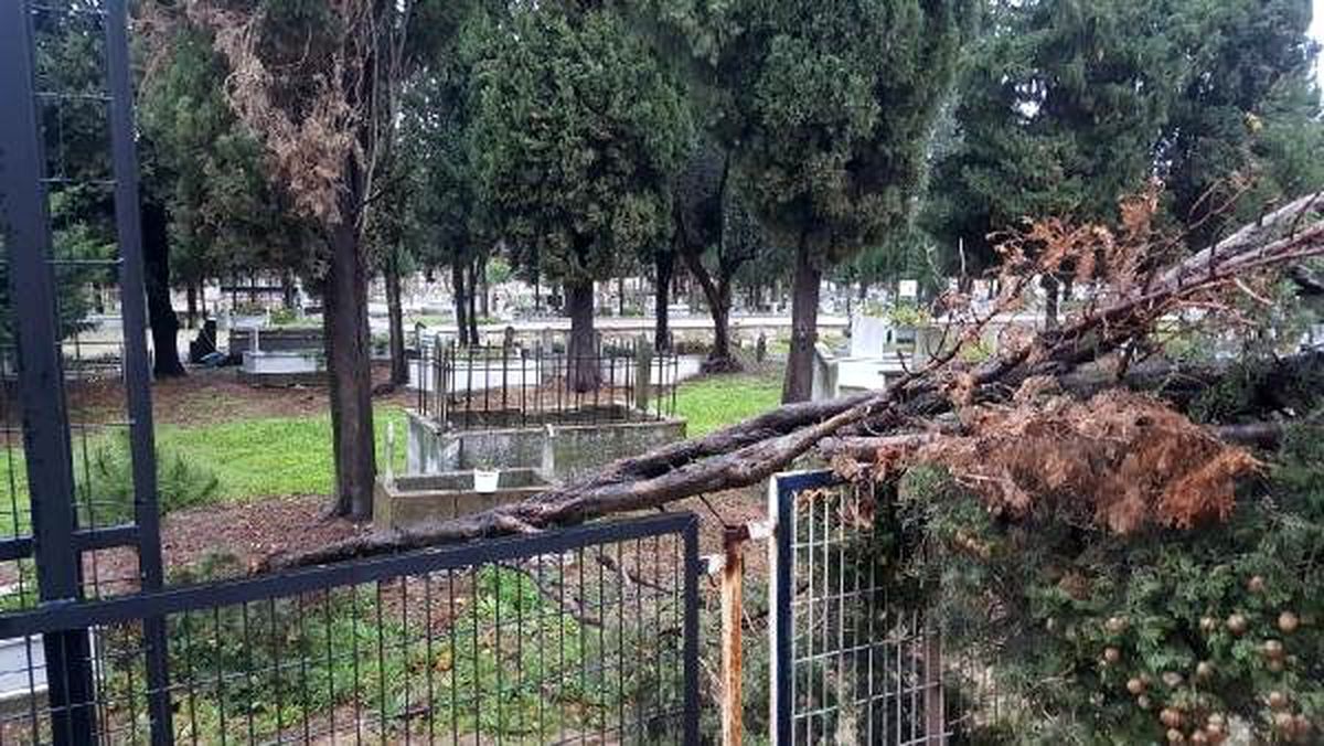Karacabey\'de fırtına; çatılar uçtu, ağaçlar devrildi