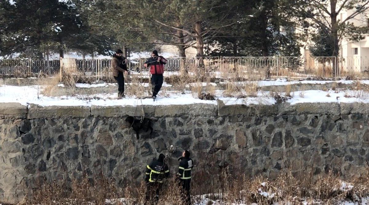 Kars Çayı\'nda mahsur kalan köpek kurtarıldı