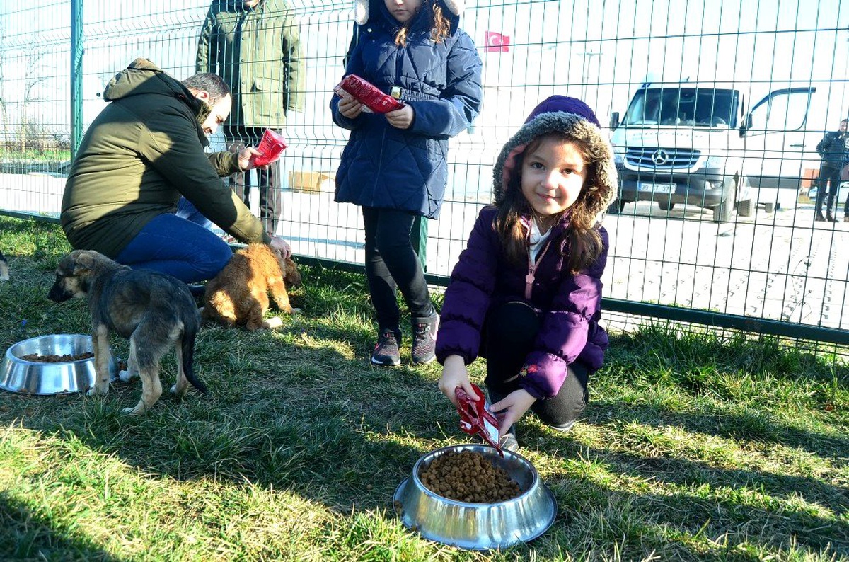 Lüleburgaz\'da sokak köpeklerine 1.7 ton mama dağıtıldı