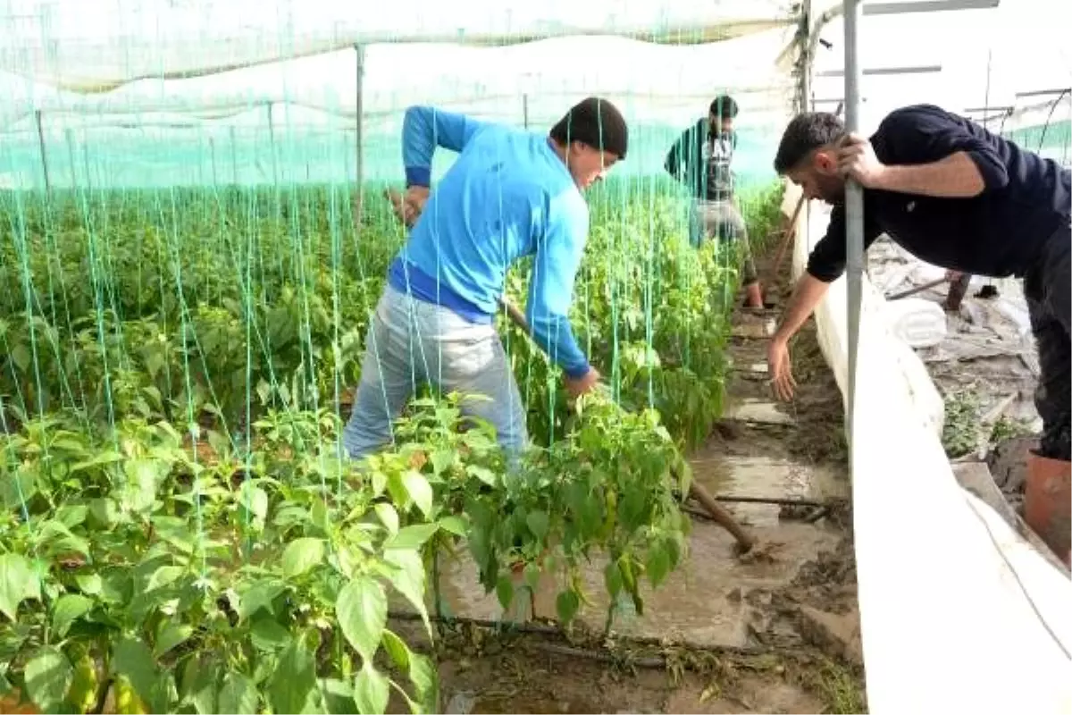 Mersin\'de çökme meydana gelen yol, ulaşıma kapatıldı (3)