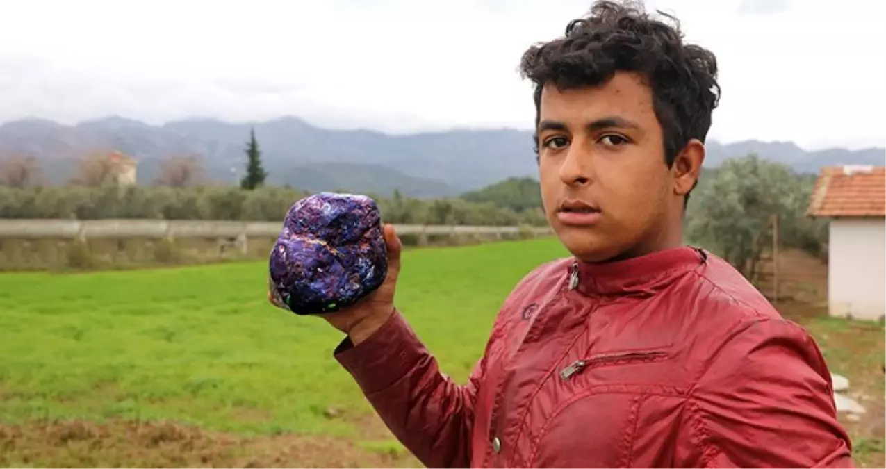 Odun toplarken renkli taşı gören genç, bilim adamlarına taşın fotoğrafını attı