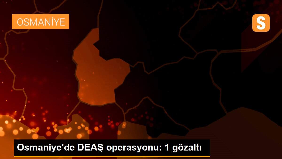 Osmaniye\'de DEAŞ operasyonu: 1 gözaltı