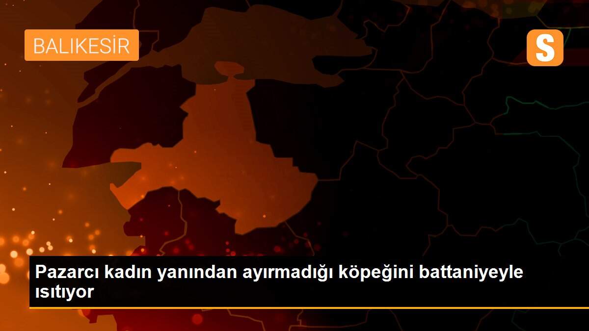 Pazarcı kadın yanından ayırmadığı köpeğini battaniyeyle ısıtıyor