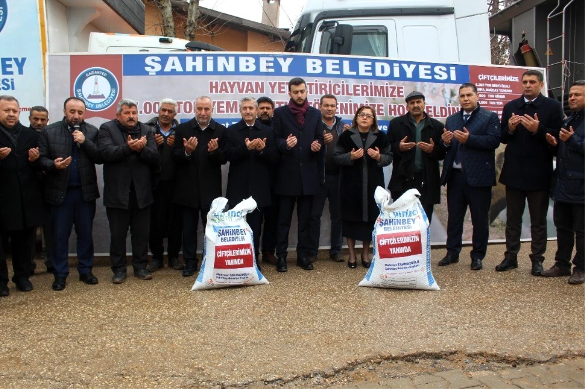 Şahinbey\'den hayvan yetiştiricilerine 7 bin ton yem desteği