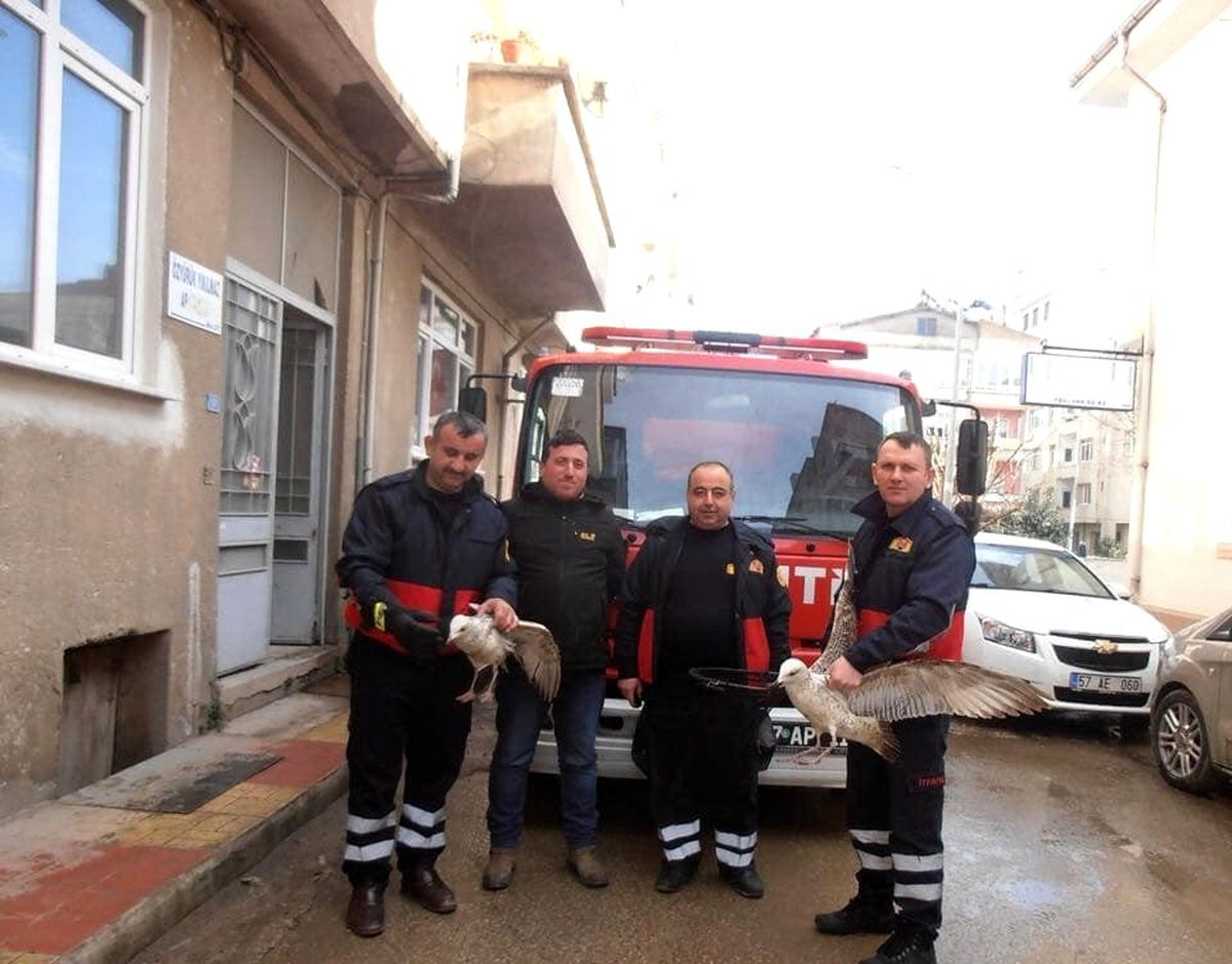 Sinop İtfaiyesinin 2019 karnesi