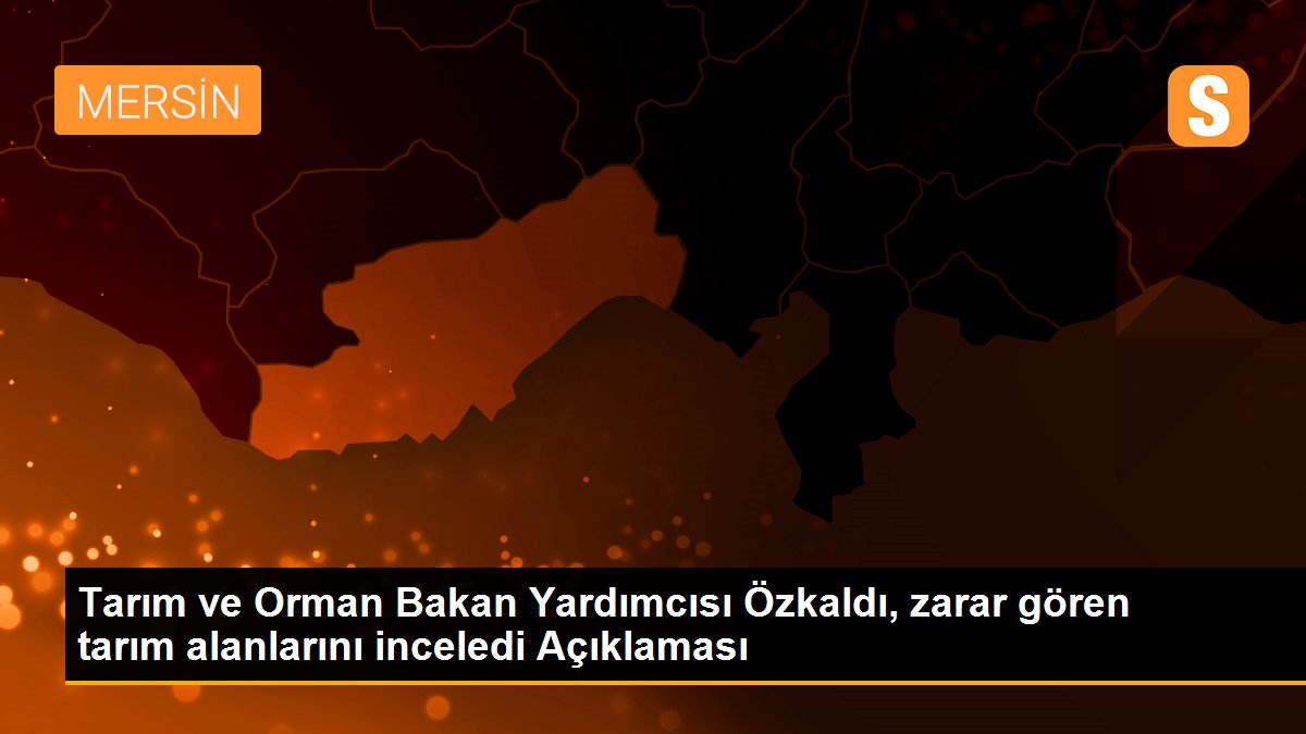 Tarım ve Orman Bakan Yardımcısı Özkaldı, zarar gören tarım alanlarını inceledi Açıklaması