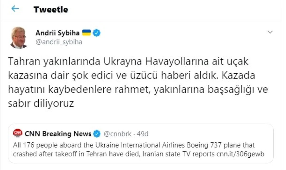 Ukrayna Büyükelçisinden uçak kazasına ilişkin açıklama