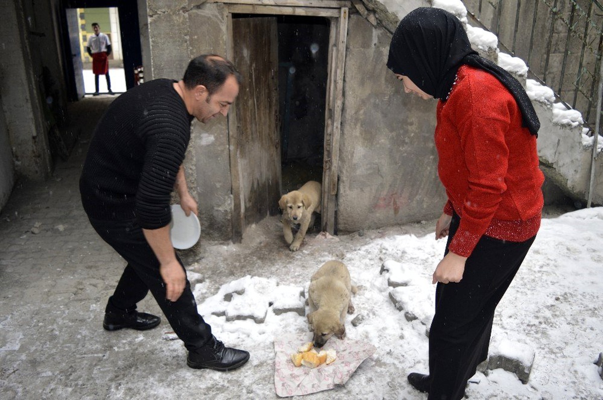 15 yaşındaki genç donmak üzere olan yavru köpeklere sahip çıktı