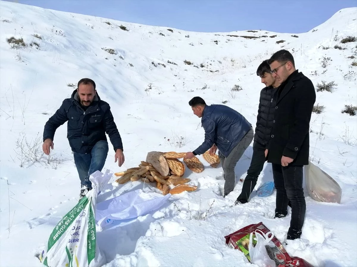 Ahlat\'ta yaban hayvanları için doğaya yem bırakıldı