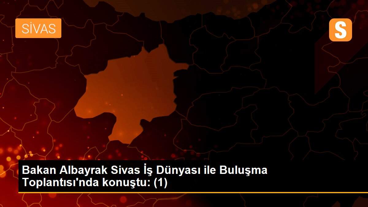 Bakan Albayrak Sivas İş Dünyası ile Buluşma Toplantısı\'nda konuştu: (1)