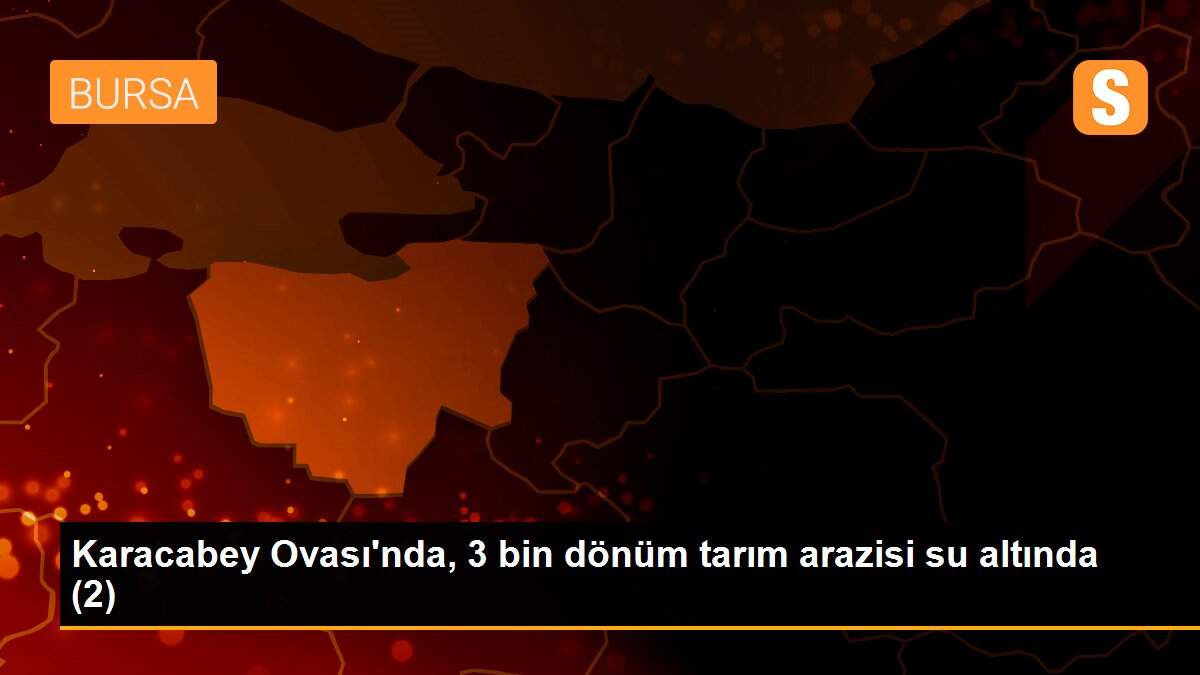 Karacabey Ovası\'nda, 3 bin dönüm tarım arazisi su altında (2)