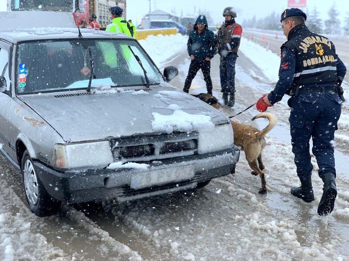 (özel) Jandarma trafik ekiplerinden köpekli trafik uygulaması