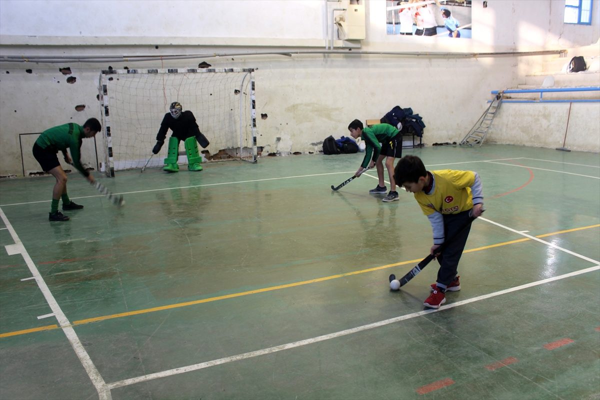 Salon hokeyinin şampiyon kardeşleri