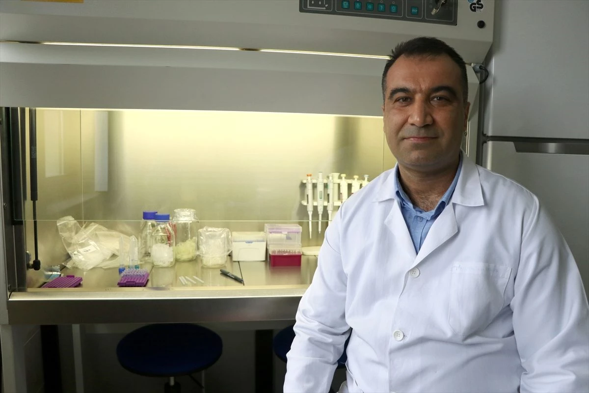 "Yerli bakteriler" doktor öğretim üyesine İngiliz Kraliyet Ödülü getirdi