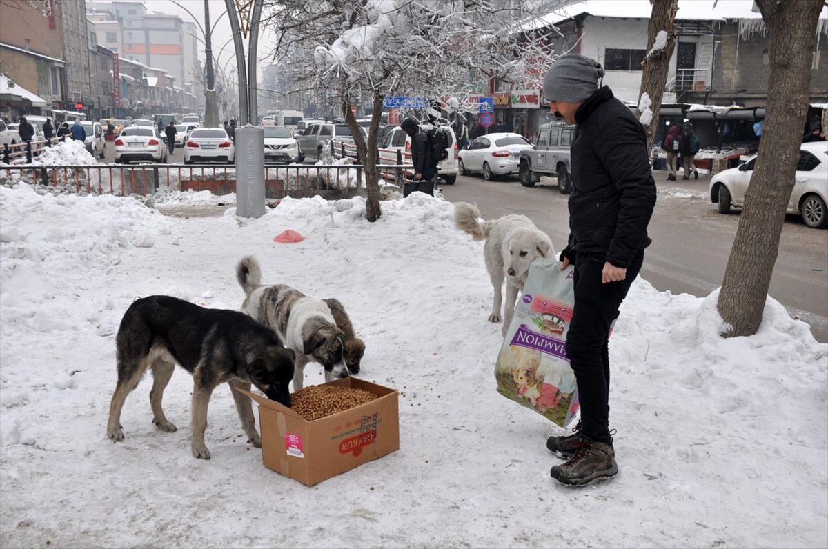 Yüksekova\'da sokak hayvanları için belirlenen noktalara mama bırakıldı
