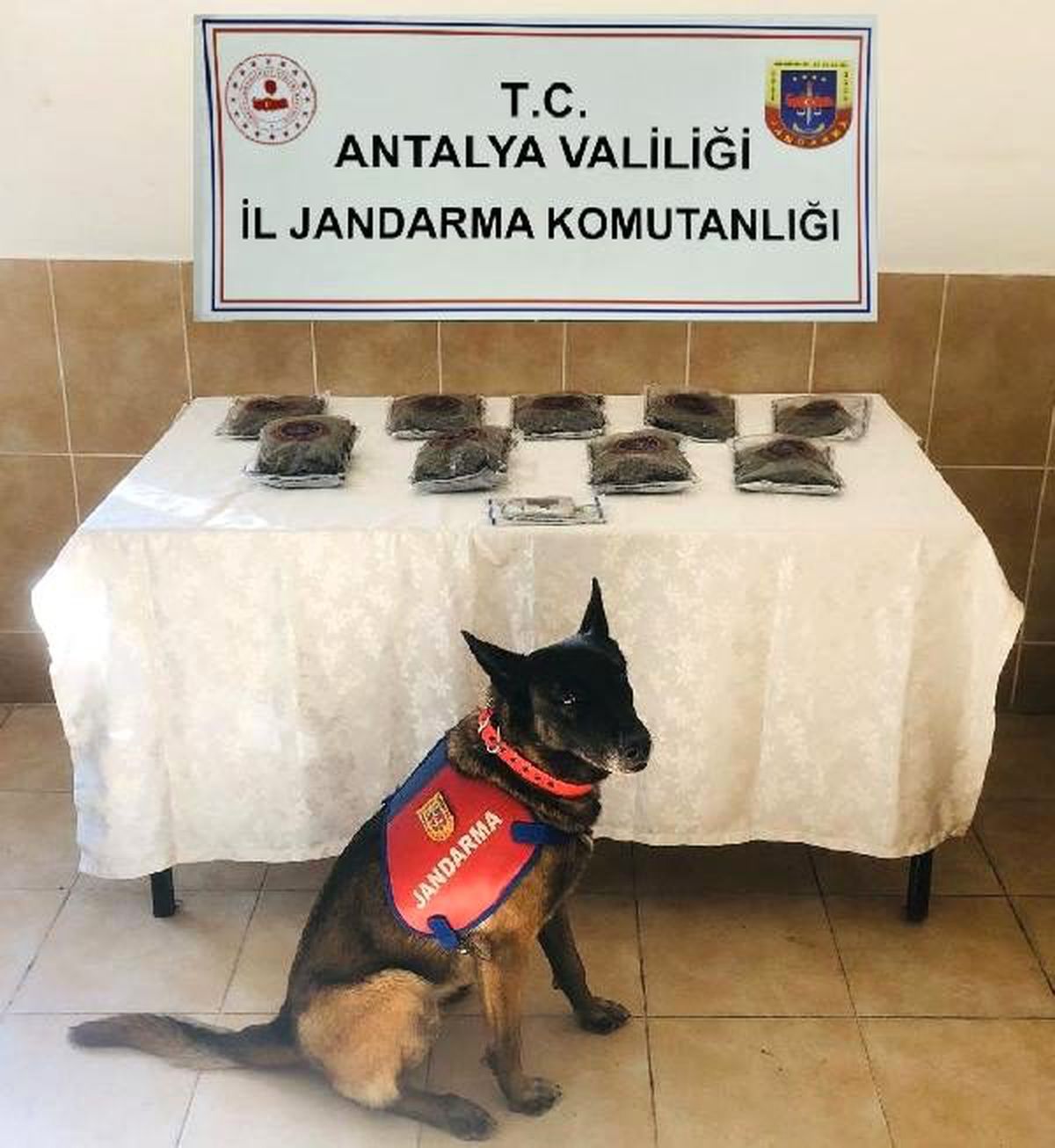 Antalya\'da uyuşturucu operasyonu: 1 tutuklama