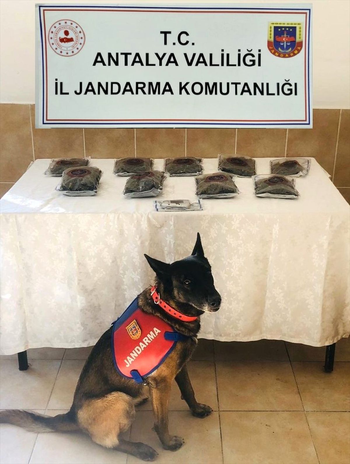 Antalya\'da uyuşturucu operasyonunda bir kişi tutuklandı