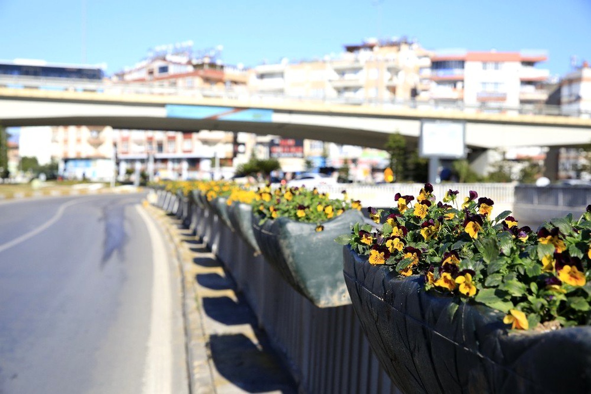 Büyükşehir Belediyesi köprülü kavşakları çiçeklerle süsledi