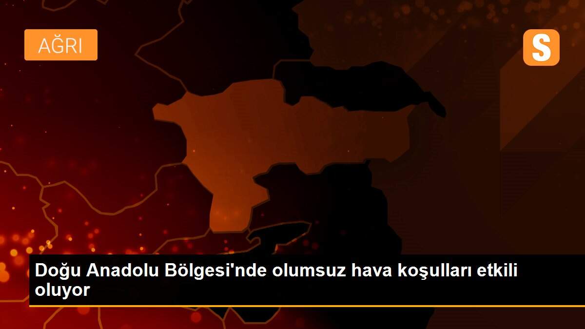 Doğu Anadolu Bölgesi\'nde olumsuz hava koşulları etkili oluyor