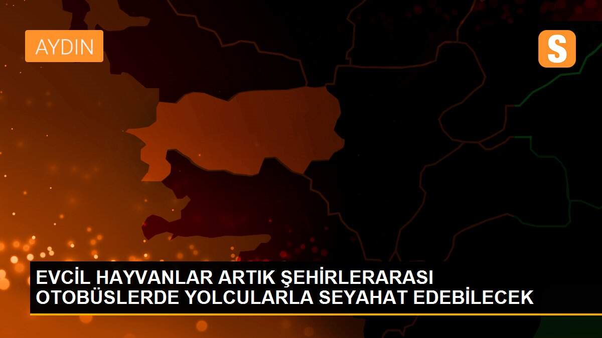 EVCİL HAYVANLAR ARTIK ŞEHİRLERARASI OTOBÜSLERDE YOLCULARLA SEYAHAT EDEBİLECEK