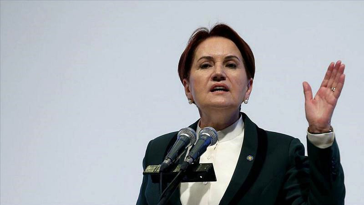 Meral Akşener: Kanal İstanbul Projesi Ekrem İmamoğlu kazandığı için yapılmak isteniyor