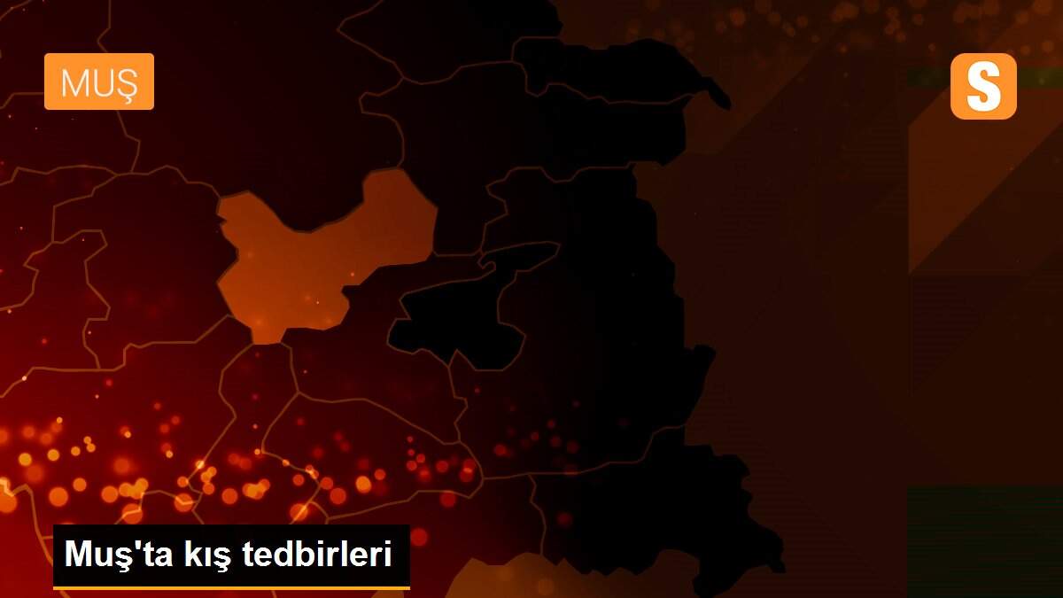 Muş\'ta kış tedbirleri