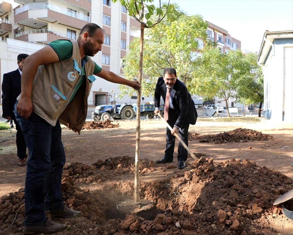 Şanlıurfa Haliliye\'de yeni yapılacak binalar için fidan dikme zorunluğu