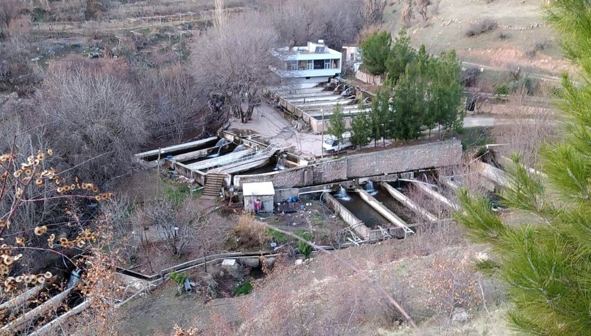 Siirt\'te üretilen alabalıklar Türkiye\'nin dört bir yanına gönderiliyor