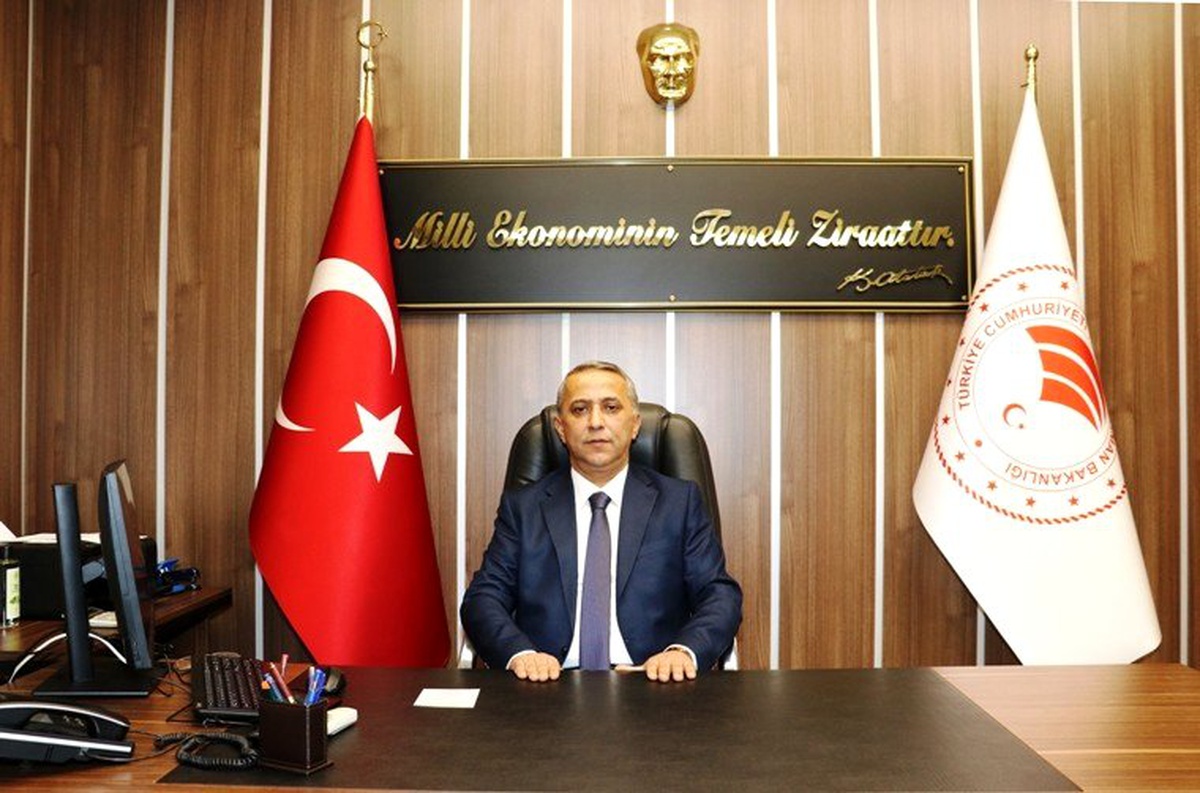 Yüzde 40 hibe destekli düve alım destekleme başvurularında son gün 14 Ocak 2020