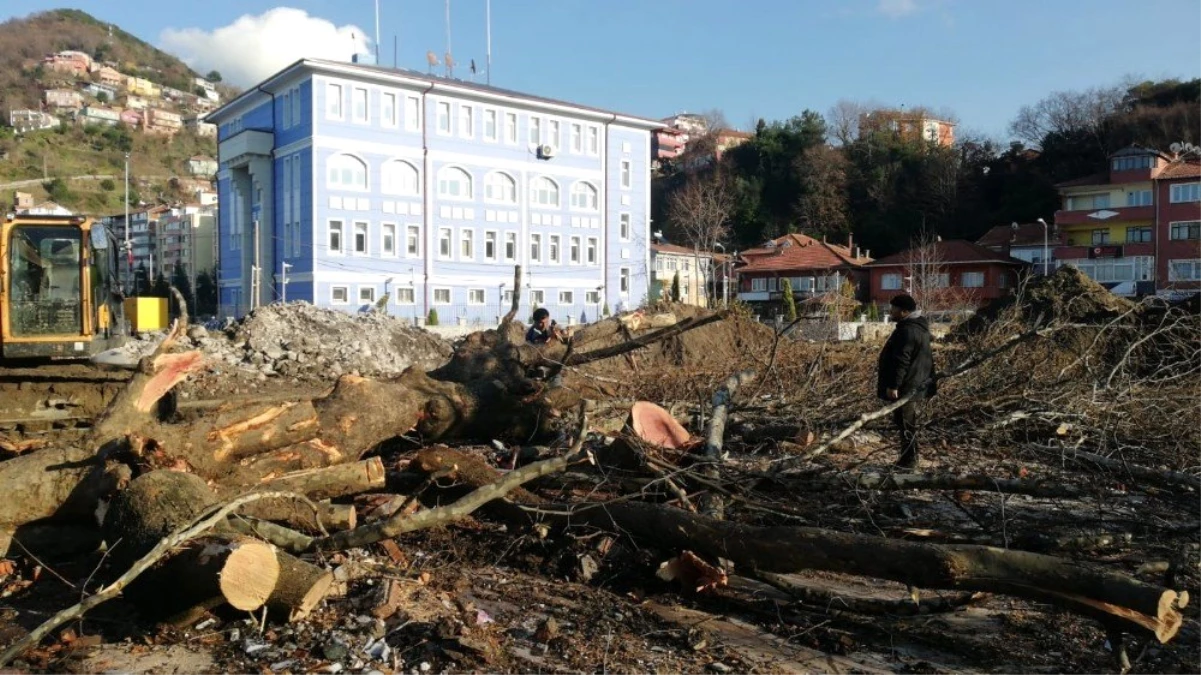 Zonguldak\'ta kazıda bulunan top mermileri imha edildi