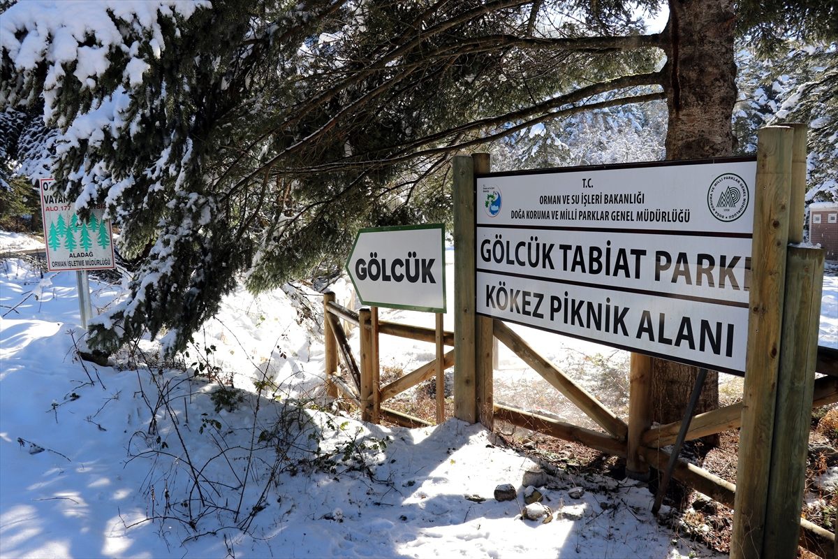 Abant ve Gölcük tabiat parklarında hafta sonu yoğunluğu