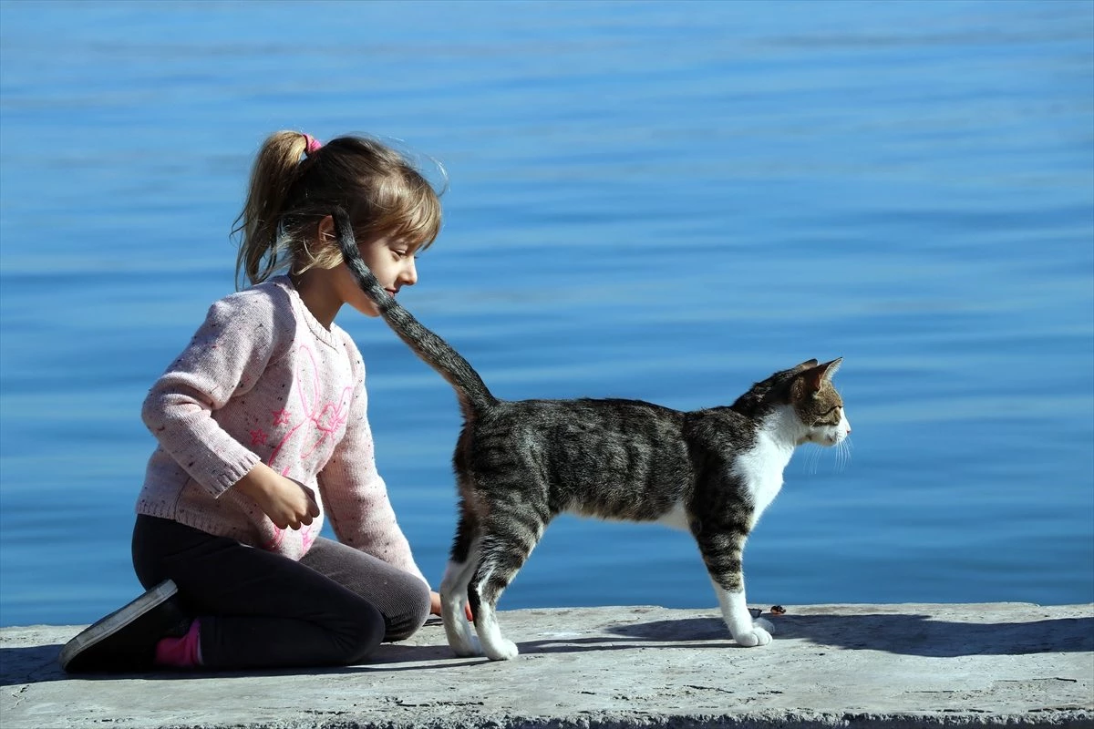 Aydın\'da ocak ayında deniz keyfi