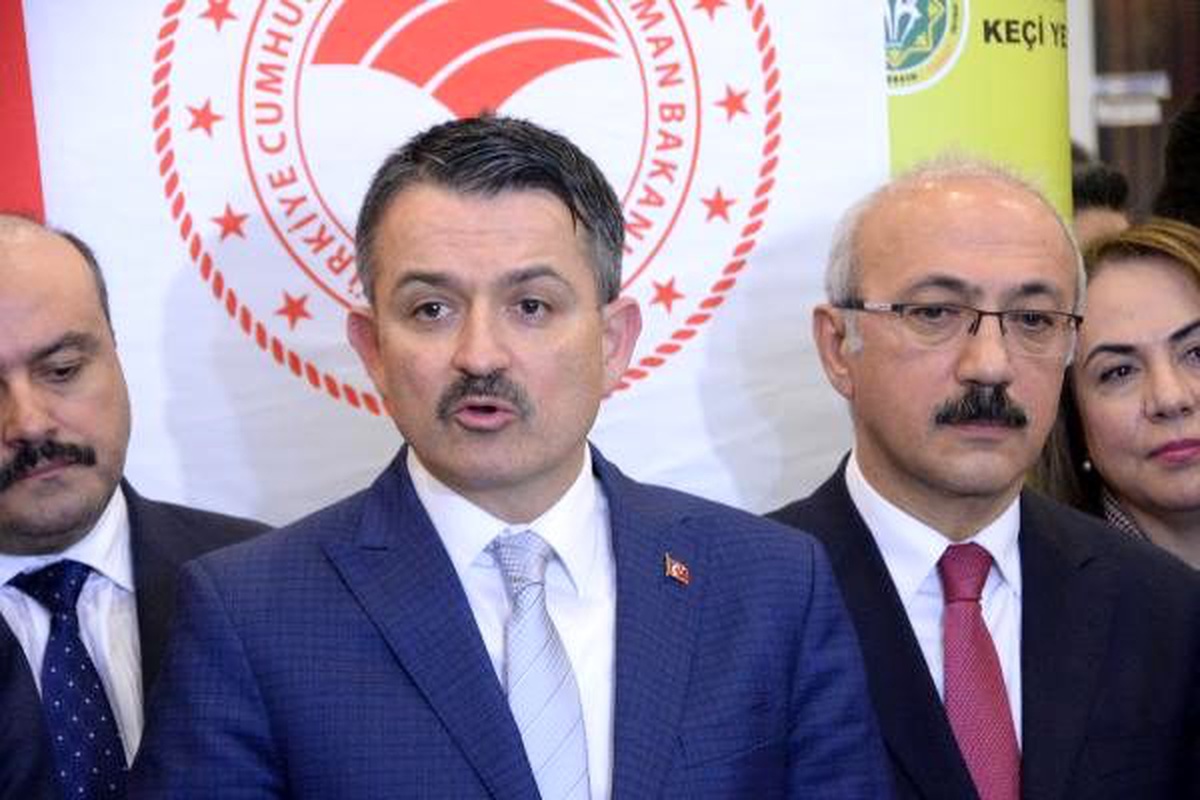 Bakan Pekdemirli: Kıbrıs isale hattında kopukluk gözlemlendi