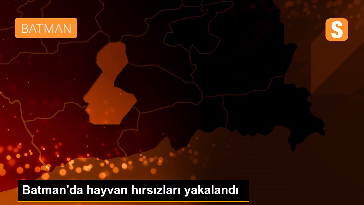 Batman\'da hayvan hırsızları yakalandı