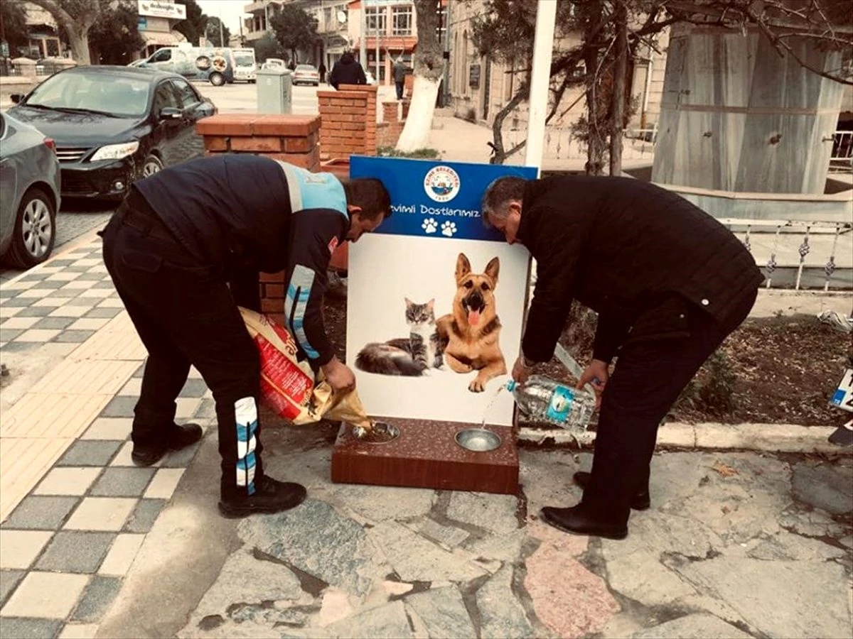 Ezine Belediyesi sokak hayvanları için proje hazırladı