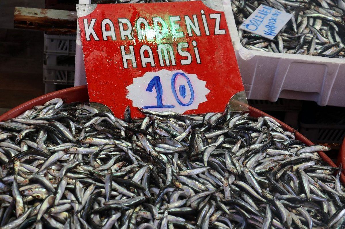 Hamsi yüz güldürdü