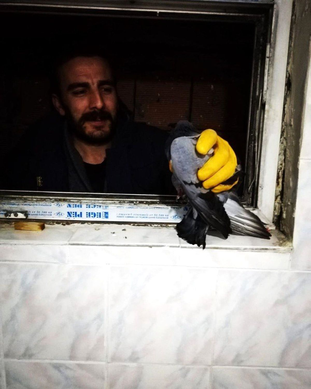 Havalandırma boşluğunda mahsur kalan güvercin itfaiye tarafından kurtarıldı