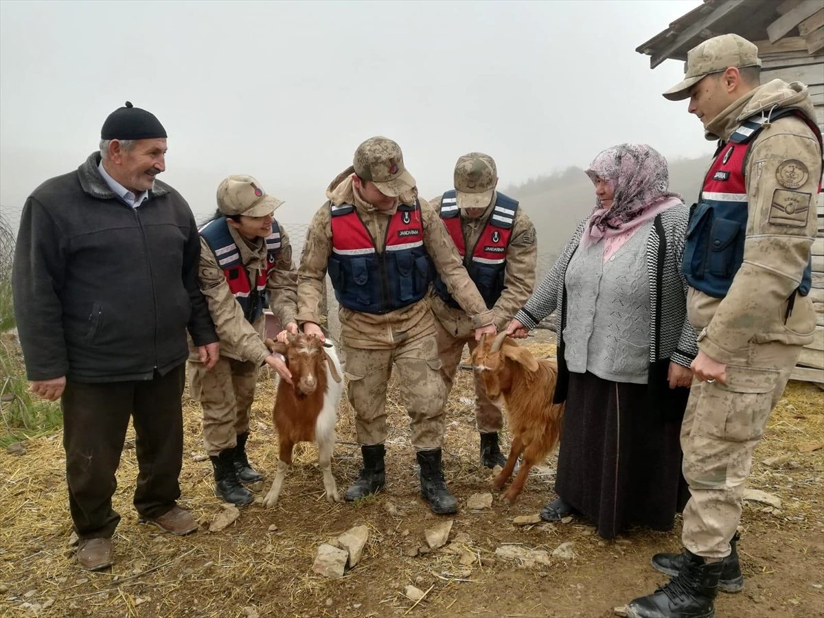 Jandarma teker izlerinden hayvan hırsızına ulaştı