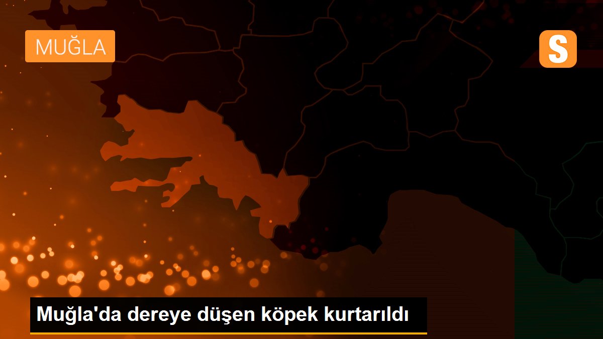 Muğla\'da dereye düşen köpek kurtarıldı