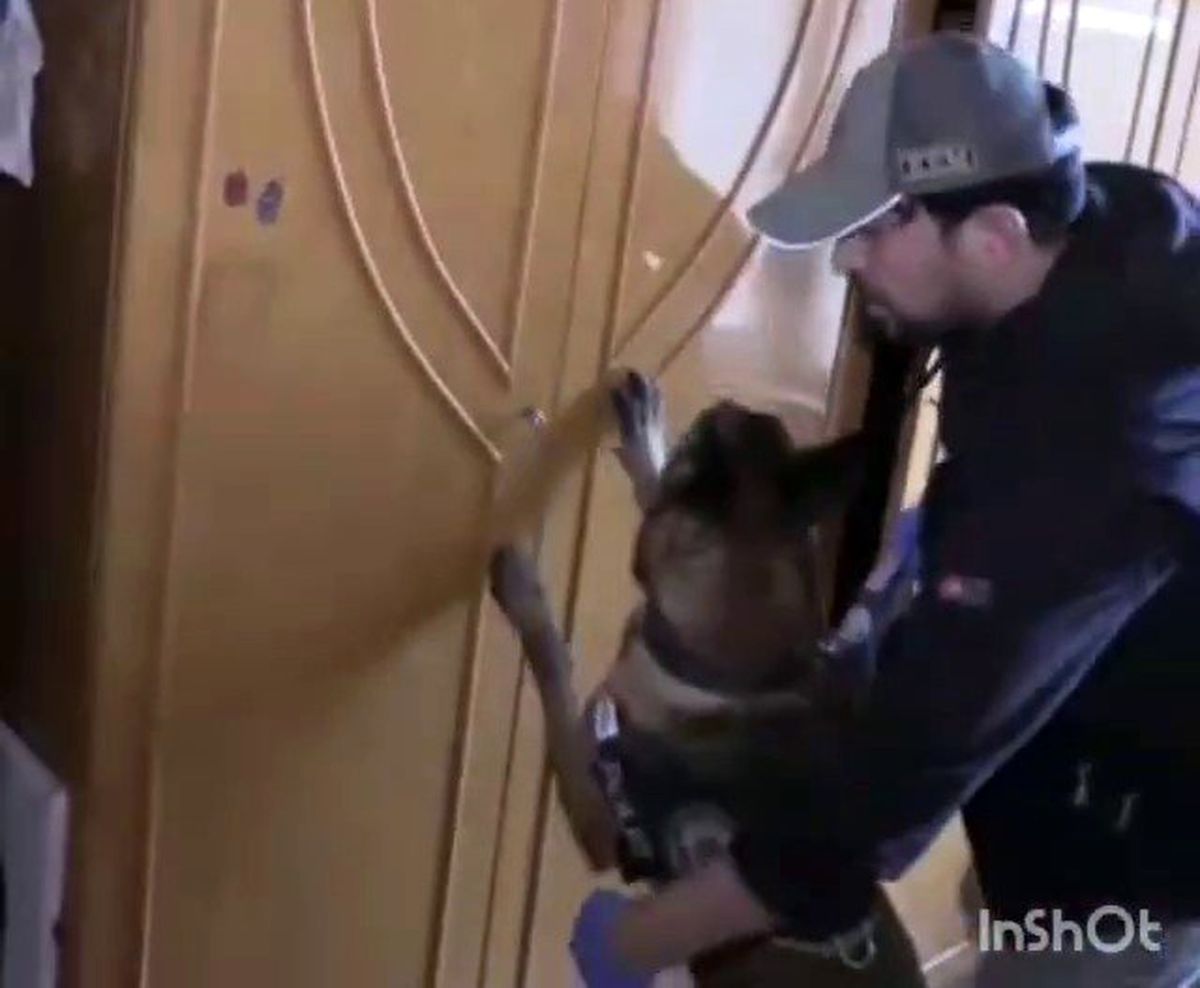 Narkotik arama köpeği Maximilon\'dan bingo