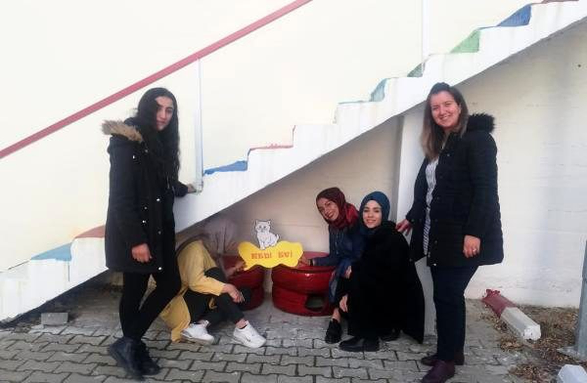 Öğrenciler, hurda lastikleri sokak kedileri için yuvaya dönüştürdü