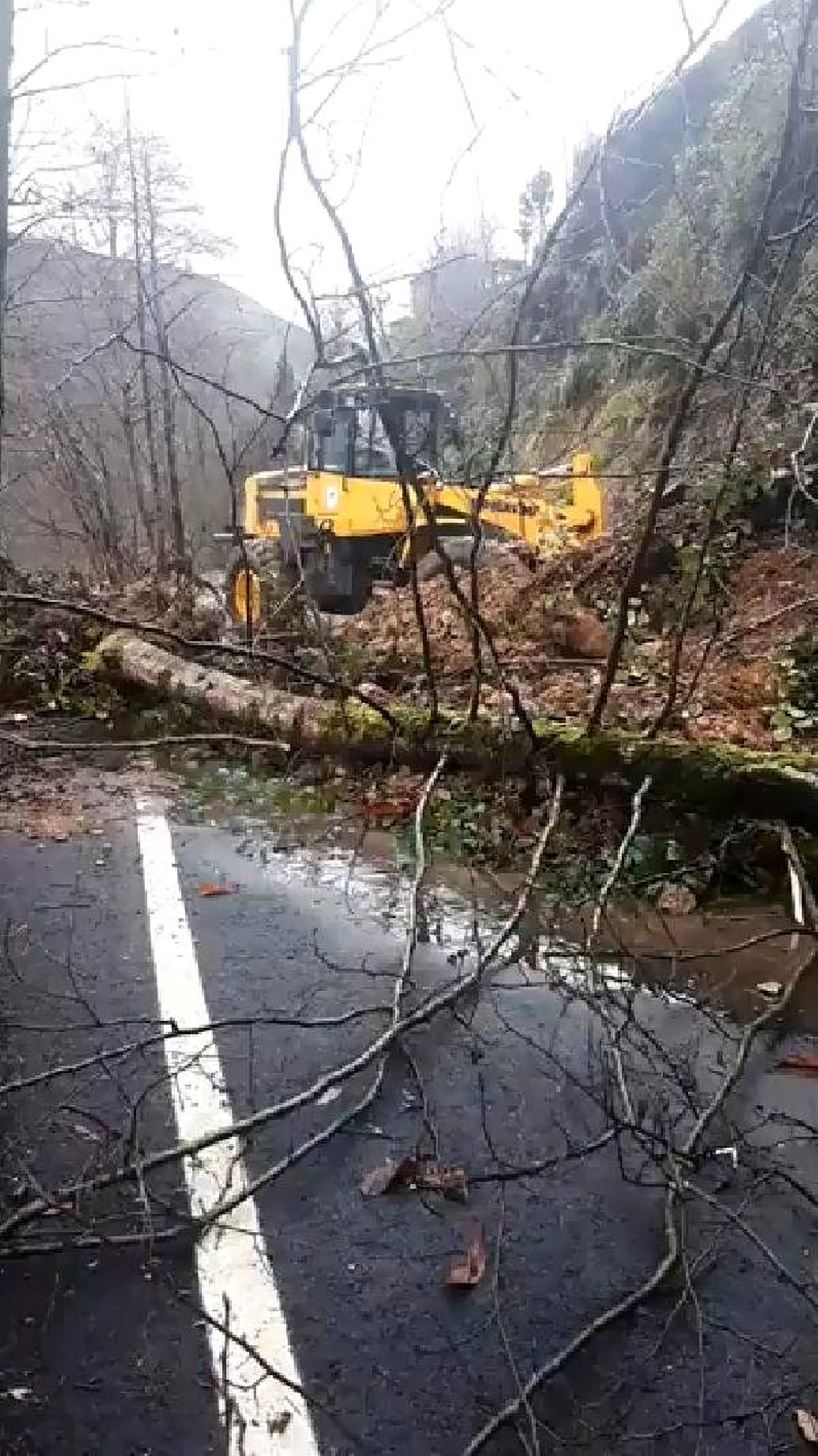 Rize\'de heyelan yolu kapattı