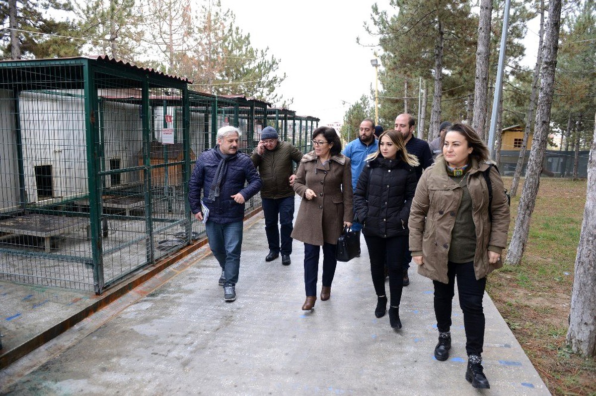 Sungurlu Belediye\'si hayvan bakımevi kuracak