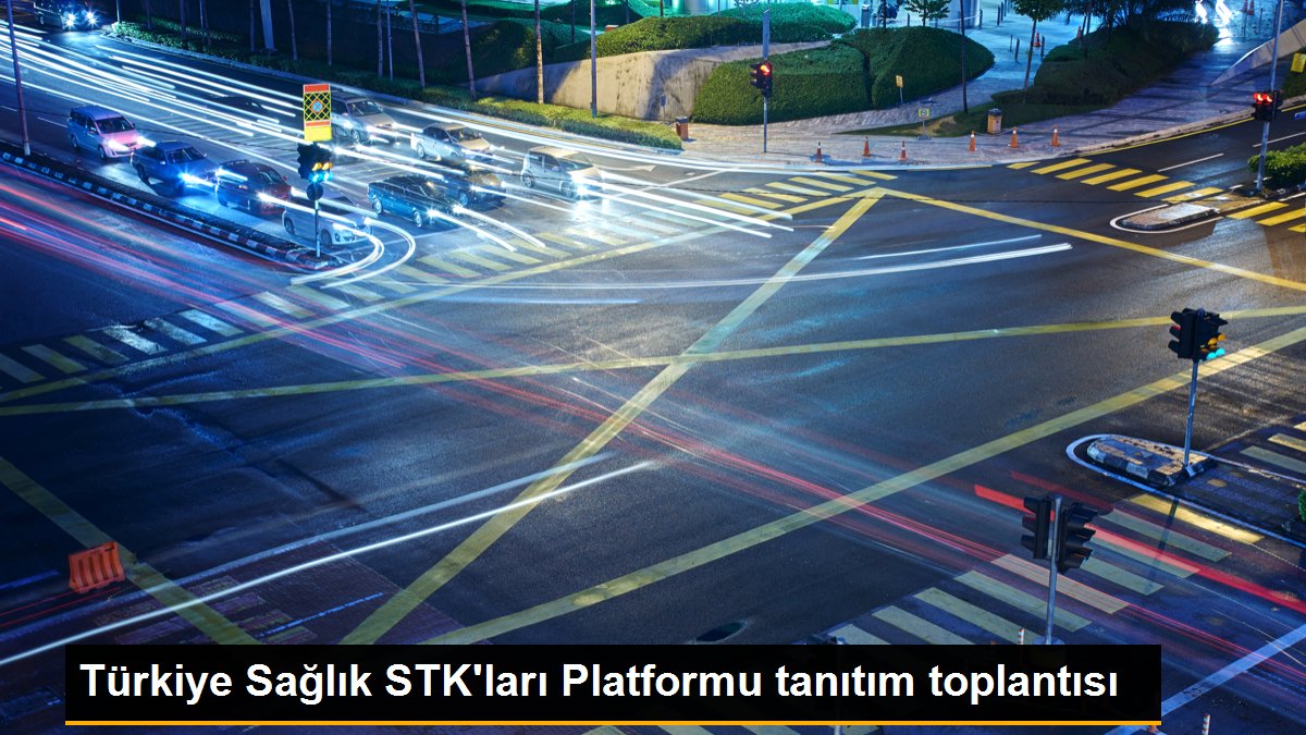 Türkiye Sağlık STK\'ları Platformu tanıtım toplantısı