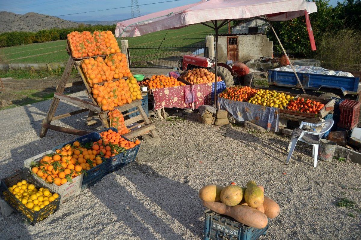 Adana\'dan hediyelik portakal