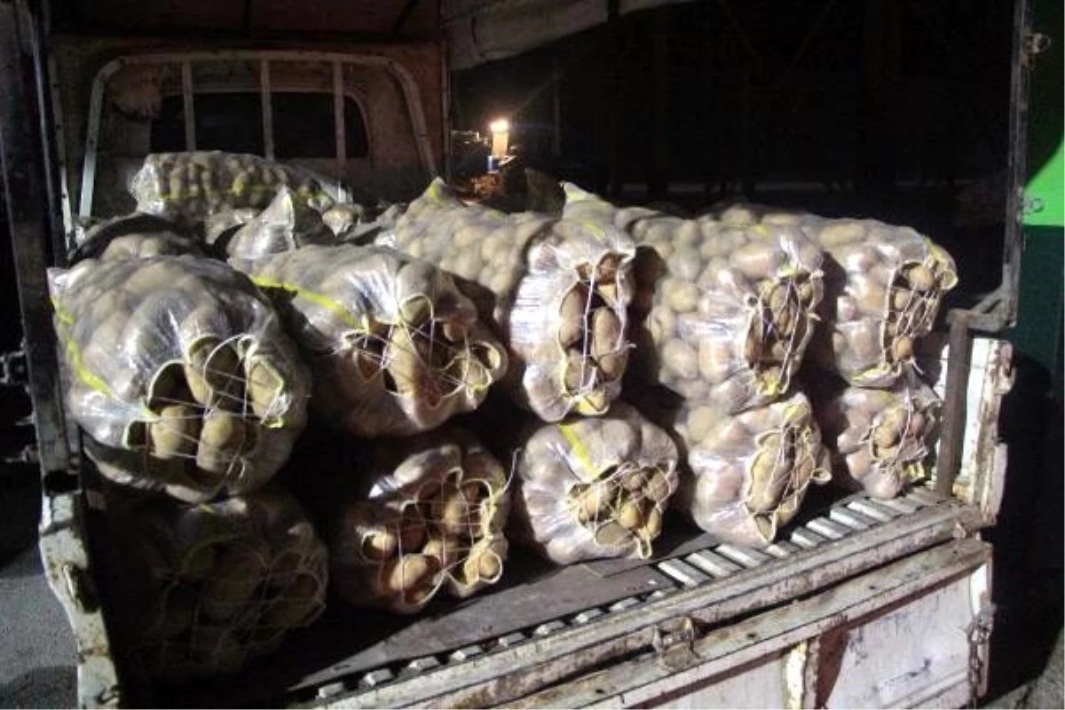 Bolu\'da patates üreticileri fiyatların düşük olmasından şikayetçi