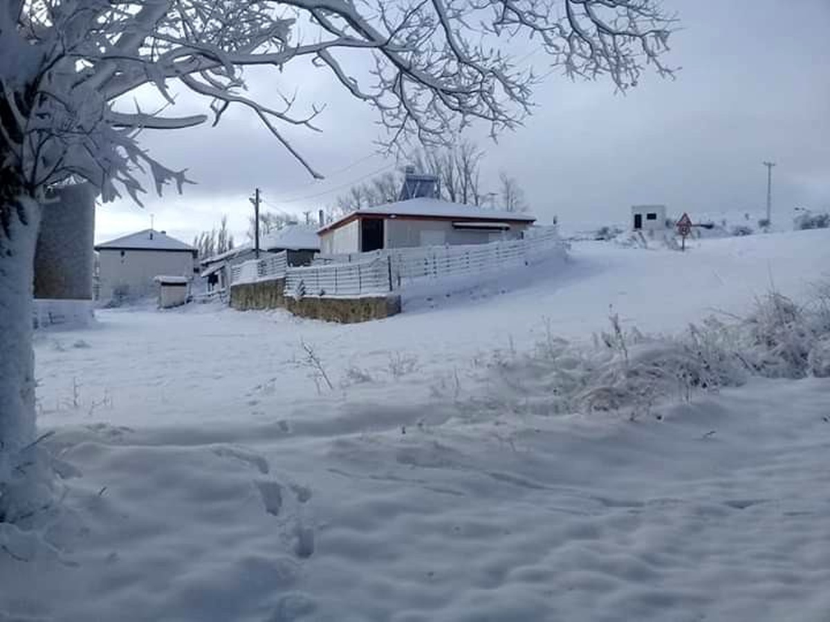 Doğu Karadeniz\'de kuvvetli yağmur ve yoğun kar uyarısı