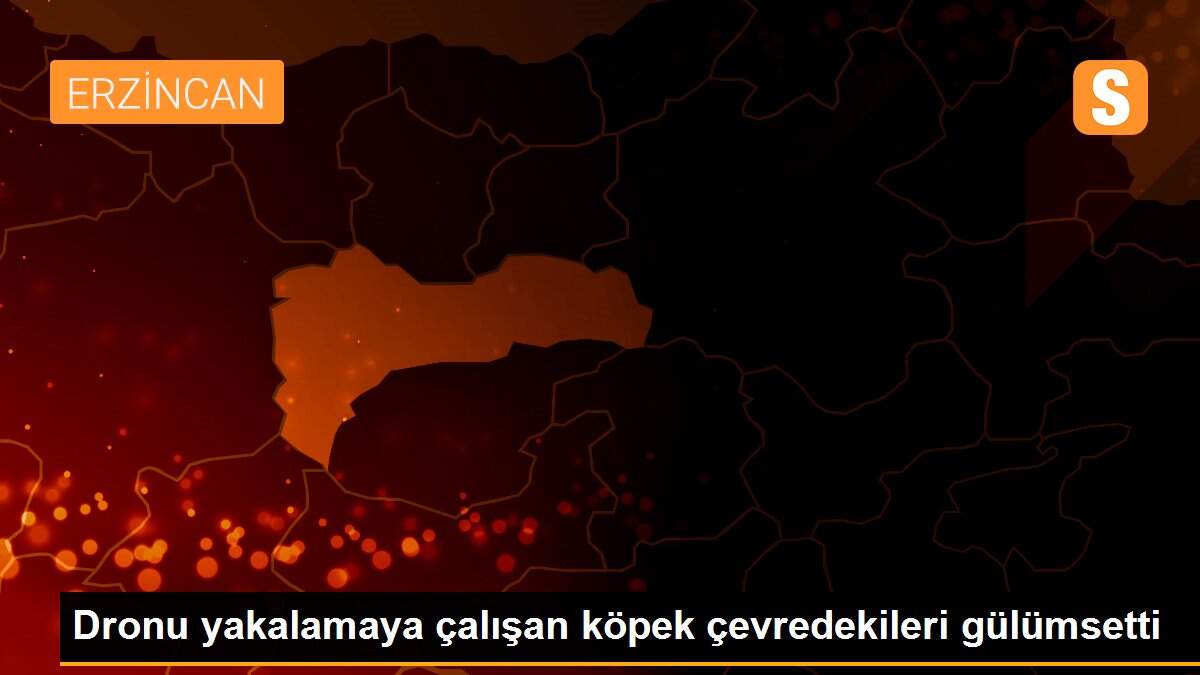 Dronu yakalamaya çalışan köpek çevredekileri gülümsetti