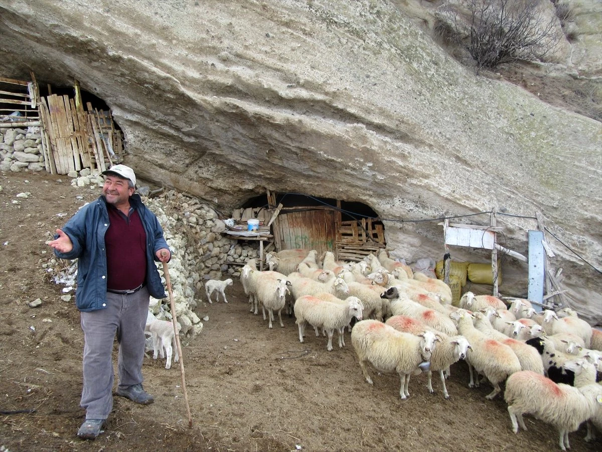 Küçükbaş hayvanlarını mağarada yetiştiriyorlar